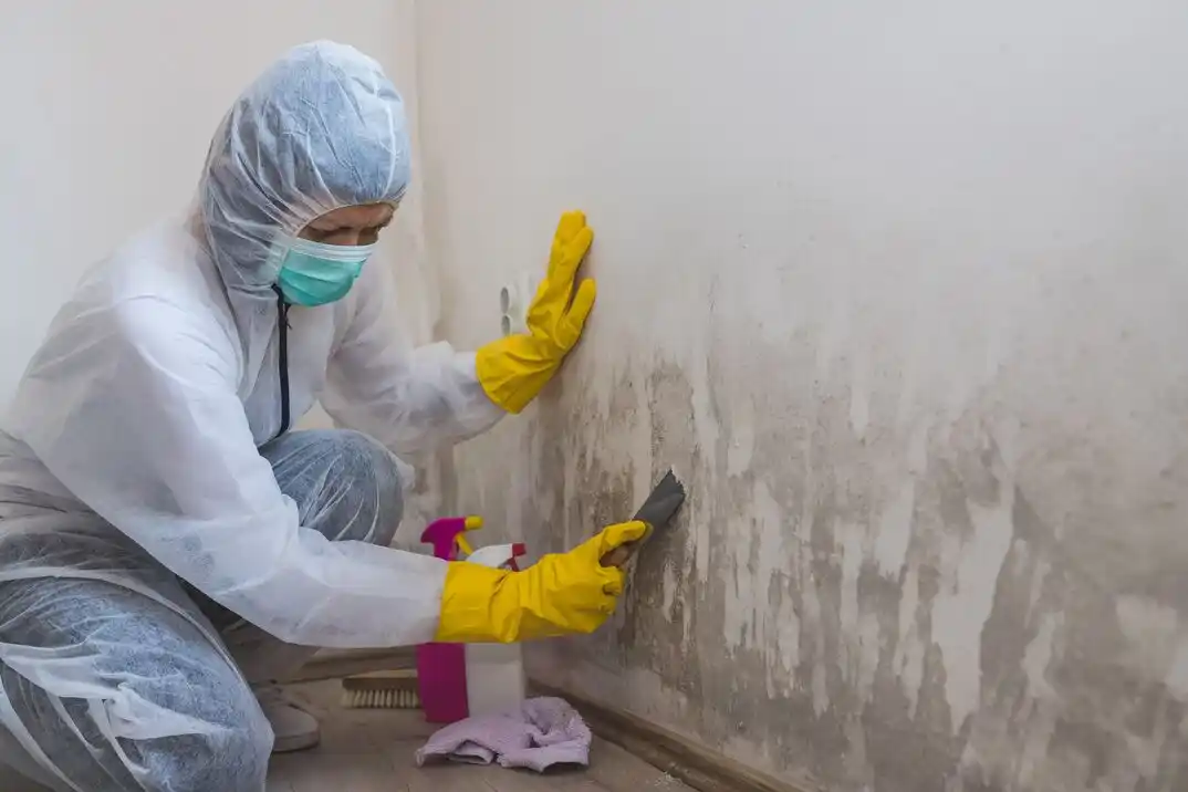 water damage restoration service Hillcrest Shores